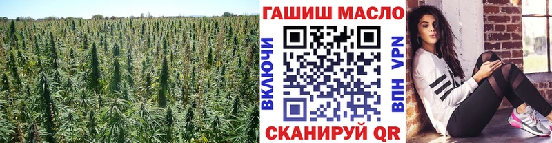 Дистиллят ТГК жижа  Купить  Алатырь 