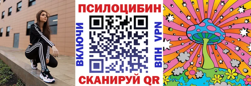 Галлюциногенные грибы Psilocybine cubensis  Купить закладки  Алатырь 
