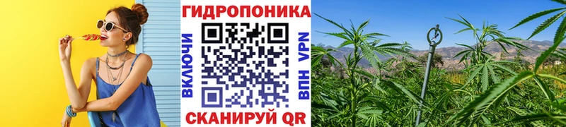 Конопля Bruce Banner Купить закладки Алатырь